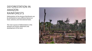 DEFORESTATION IN
AMAZON
RAINFORESTS
Deforestation of the Amazon Rainforests can
be attributed to many different factors at
local, national, and international levels.
The main sources of deforestation in the
Amazon are human settlement and
development of the land.
 