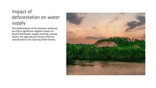 Impact of
deforestation on water
supply
The deforestation of the Amazon rainforest
has had a significant negative impact on
Brazil’s freshwater supply, harming, among
others, the agricultural industry that has
contributed to the cleaning of the forests.
 