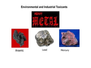 Environmental and Industrial Toxicants
Arsenic
 