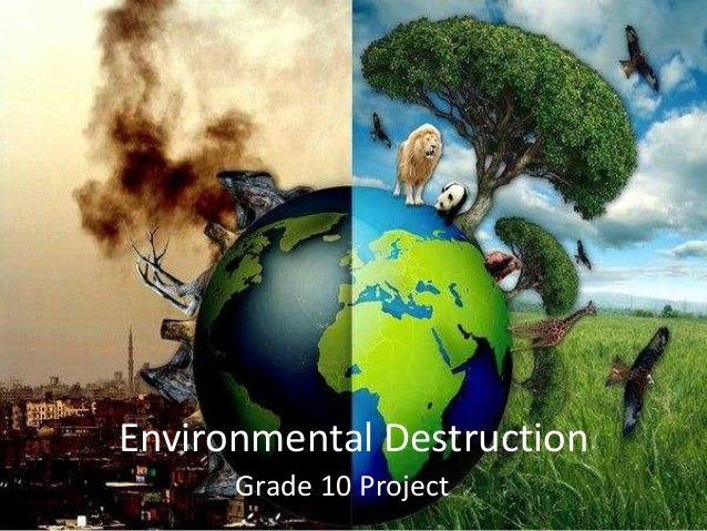 Grade 10 Environmental Powerpoint Project