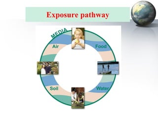 Enviromental risk assessment | PDF