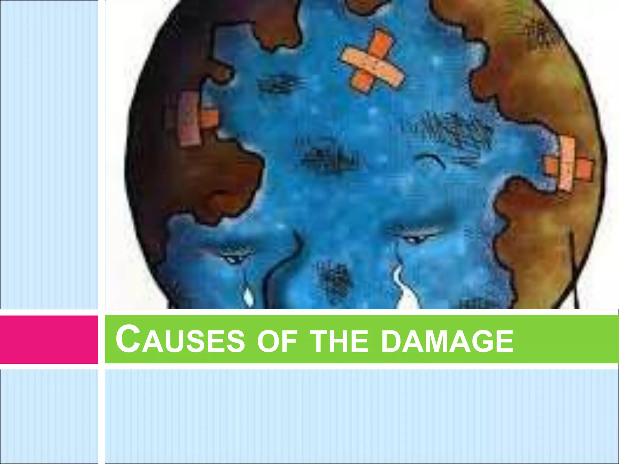 CAUSES OF THE DAMAGE