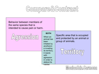 Behavior between members of the same species that is intended to cause pain or harm.  Specific area that is occupied and protected by an animal or group of animals. Agression BOTH When an animal has been irritated by anotherone invading its territory, it reacts with agression in order to defend its habitat. Territory Compare&Contrast MonicaRdz.Carmona 