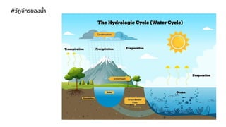 #วัฏจักรของน้า
 