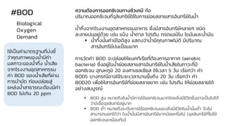 #BOD ความต้องการออกซิเจนทางชีวเคมี คือ
ปริมาณออกซิเจนที่จุลินทรีย์ใช้ในการย่อยสลายสารอินทรีย์ในน้า
น้าทิ้งจากโรงงานอุตสาหกรรมอาหาร ซึ่งมีสารอินทรีย์หลายๆ ชนิด
ละลายปนอยู่ด้วย เช่น แป้ง น้าตาล โปรตีน กรดแอมิโน ไขมันและน้ามัน
▪ น้าทิ้งนั้นค่าบีโอดีสูง แสดงว่าน้ามีคุณภาพไม่ดี มีปริมาณ
สารอินทรีย์ปนเปื้ อนมาก
การวัดค่า BOD จะปล่อยให้แบคทีเรียที่ต้องการอากาศ (aerobic
bacteria) ซึ่งอยู่ในน้าย่อยสลายสารอินทรีย์ในน้าเสียในภาวะที่มี
ออกซิเจน อุณหภูมิ 20 องศาเซลเซียส ใช้เวลา 5 วัน เรียกว่า ค่า
BOD5 บางกรณีอาจใช้ระยะเวลานานขึ้นถึง 20 วัน เรียกว่า ค่า
BOD20 เพื่อให้สารอินทรีย์ที่ย่อยสลายยาก เช่น โปรตีน ให้ย่อยสลายได้
อย่างสมบูรณ์
Biological
Oxygen
Demand
ใช้เป็นค่ามาตรฐานที่บ่งชี้
ว่าคุณภาพของน้ามีค่า
มลภาวะของน้าทิ้ง น้าเสีย
จากโรงงานอุตสาหกรรม
ค่า BOD ของน้าเสียที่ผ่าน
การบาบัด ก่อนปล่อยสู่
แหล่งน้าสาธารณะต้องมีค่า
BOD ไม่เกิน 20 ppm
▪ BOD สูง หมายถึงในน้ามีการใช้ออกซิเจนมากโดยสิ่งมีชีวิตซึ่งอาจเป็นไปได้
ว่ามีเชื้อจุลลินทร์อยู่มาก
▪ BOD ต่า หมายถึงระดับการใช้ออกซิเจนของสิ่งมีชีวิตในน้านั้นต่า จึงไม่
สามารถบอกได้ว่า ในน้านั้นมีสารอินทรีย์มากน้อยหรือไม่ (จุลลินทรีย์ที่ไม่ใช้
ออกซิเจนเหมือนกัน)
 