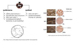 ที่มา: https://www.sciencelearn.org.nz/resources/957-soil-properties
สมบัติกายภาพ
▪ เนื้อดิน (soil texture )
▪ โครงสร้างดิน (soil structure )
▪ สีดิน (soil color )
▪ ความพรุนและสภาพซึมน้า
(porosity & permeability)
สมบัติเคมี
▪ กรด-เบส (pH )
▪ ฮิวมัสและคอลลอยด์
(humas & colloids)
ดิน
https://www.bio.miami.edu/dana/330/330F19_8.html
 
