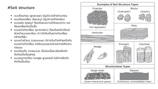 #Soil structure
▪ แบบก้อนกลม (granular) มีรูปร่างคล้ายทรงกลม
▪ แบบก้อนเหลี่ยม (blocky) มีรูปร่างคล้ายกล่อง
▪ แบบแผ่น (platy) ก้อนดินแบนวางตัวในแนวราบ และ
ซ้อนเหลื่อมกันเป็นชั้น
▪ แบบแท่งหัวเหลี่ยม (prismatic) ก้อนดินแต่ละก้อนมี
ผิวหน้าแบบและเรียบ เกาะตัวกันเป็นแท่งหัวเหลี่ยม
คล้ายปริซึม
▪ แบบแท่งหัวมน (columnar) มีการจับตัวคล้ายคลึงกับ
แบบแท่งหัวเหลี่ยม แต่ส่วนบนของปลายแท่งมีลักษณะ
กลมมน
▪ แบบก้อนทึบ (massive) เป็นดินเนื้อละเอียดยึดตัว
ติดกันเป็นก้อนใหญ่
▪ แบบอนุภาคเดี่ยว (single grained) ไม่มีการยึดตัว
ติดกันเป็นก้อน
 