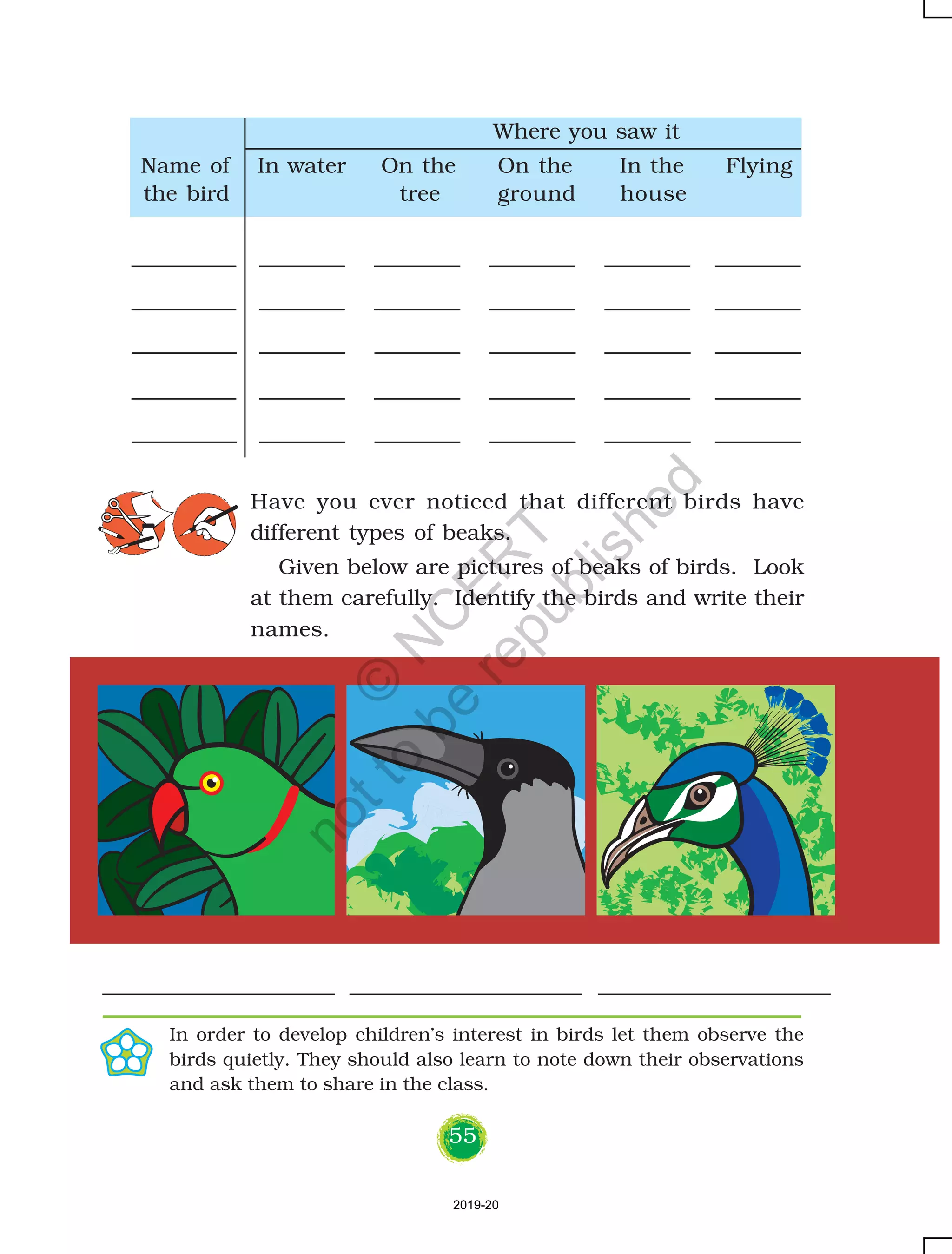 55
Where you saw it
Name of In water On the On the In the Flying
Have you ever noticed that different birds have
different types of beaks.
Given below are pictures of beaks of birds. Look
at them carefully. Identify the birds and write their
names.
In order to develop children’s interest in birds let them observe the
birds quietly. They should also learn to note down their observations
and ask them to share in the class.
the bird tree ground house
2019-20
©
N
C
ER
T
notto
be
republished
 