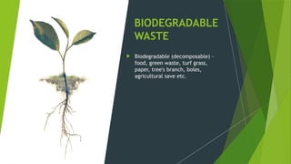 Environmenal impact assessment through the waste.pptx