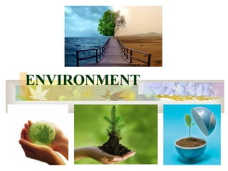 ENVIRONMENT 