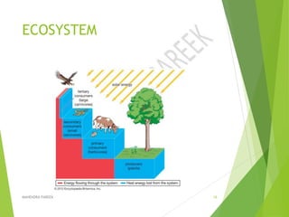 ECOSYSTEM
MAHENDRA PAREEK 16
 