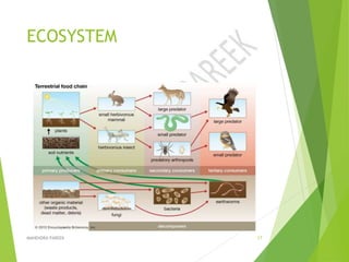 ECOSYSTEM
MAHENDRA PAREEK 17
 