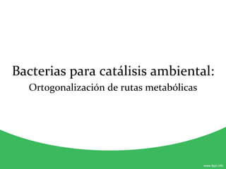 Bacterias para catálisis ambiental: Ortogonalización de rutas metabólicas 