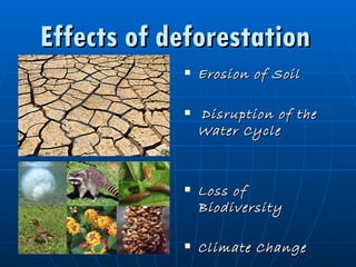 Soli Disruption Environment | PPT