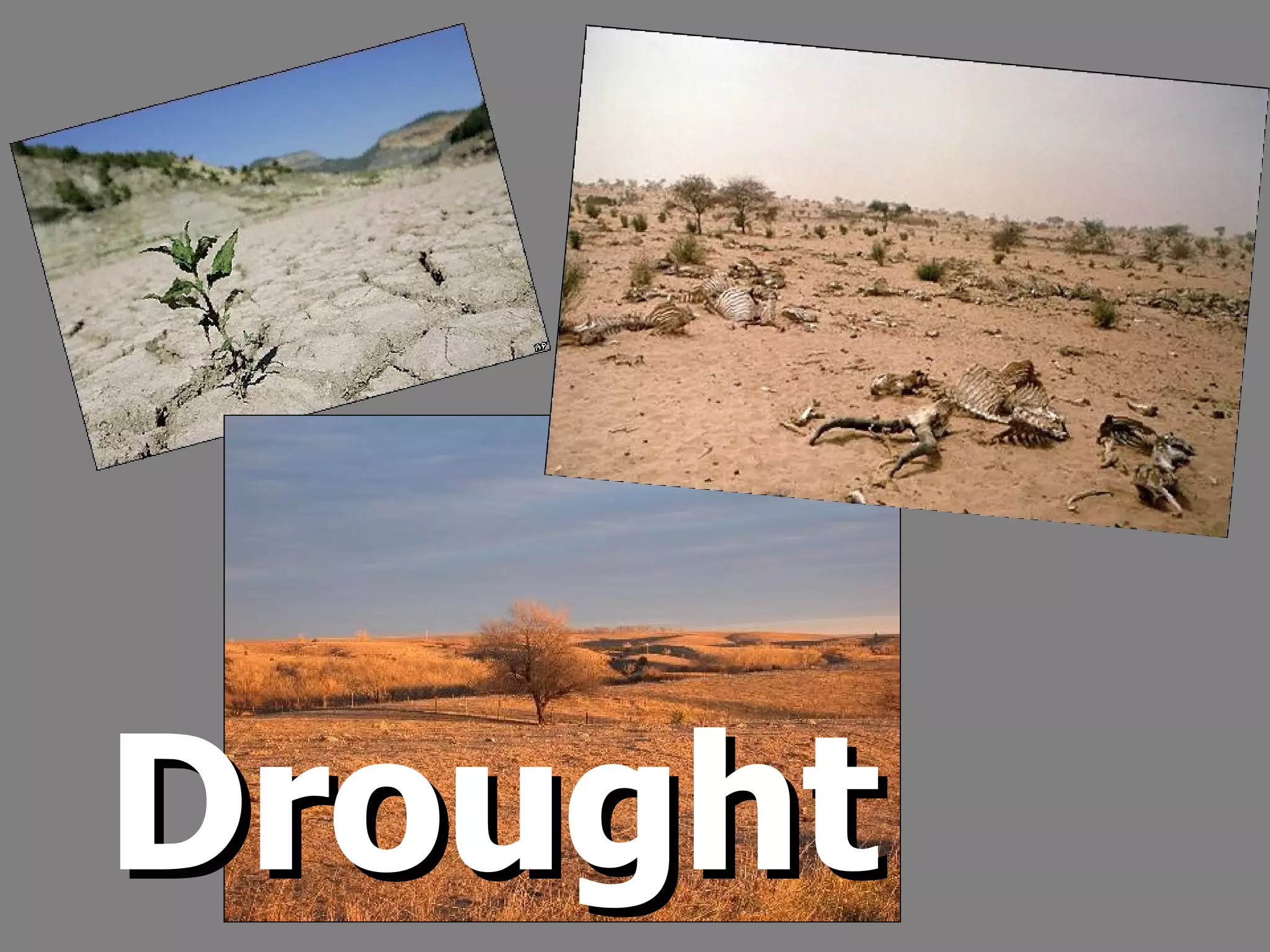 Drought