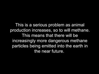 This is a serious problem as animal production increases, so to will methane. This means that there will be increasingly more dangerous methane particles being emitted into the earth in the near future.  