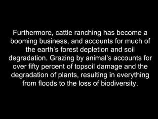 Furthermore, cattle ranching has become a booming business, and accounts for much of the earth’s forest depletion and soil degradation. Grazing by animal’s accounts for over fifty percent of topsoil damage and the degradation of plants, resulting in everything from floods to the loss of biodiversity. 