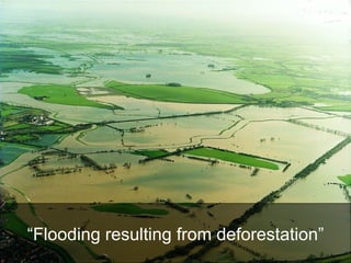 “ Flooding resulting from deforestation” 