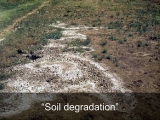 “ Soil degradation” 