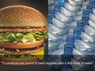 “ To produce one pound of beef requires over 2,400 litres of water”   