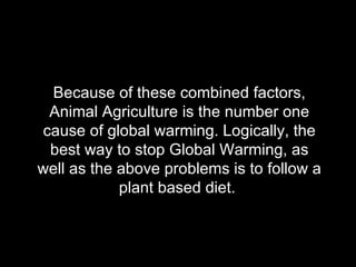 Because of these combined factors, Animal Agriculture is the number one cause of global warming. Logically, the best way to stop Global Warming, as well as the above problems is to follow a plant based diet.  