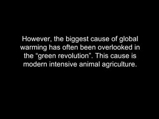 However, the biggest cause of global warming has often been overlooked in the “green revolution”. This cause is modern intensive animal agriculture. 