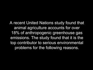 A recent United Nations study found that animal agriculture accounts for over 18% of anthropogenic greenhouse gas emissions. The study found that it is the top contributor to serious environmental problems for the following reasons. 