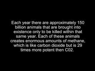 Each year there are approximately 150 billion animals that are brought into existence only to be killed within that same year. Each of these animals creates enormous amounts of methane, which is like carbon dioxide but is 29 times more potent then C02.  