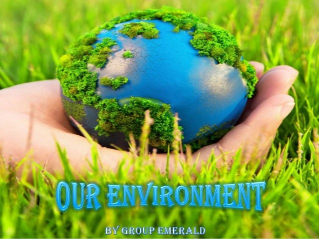 Environment protection essay topics