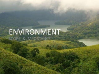 ENVIRONMENT
SCOPE & IMPORTANCE
 