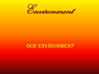 Environment
Our environment
 