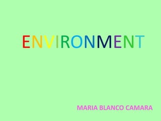 ENVIRONMENT

MARIA BLANCO CAMARA

 
