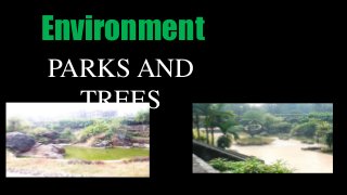 Environment
PARKS AND
TREES

 