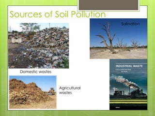 Sources of Soil Pollution
Salination

Domestic wastes

Agricultural
wastes

 