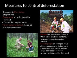 Measures to control deforestation 
• Implement afforestation 
programmes 
•Overgrazing of cattle should be 
reduced 
• Control the usage of paper 
•Forest conservation act should be 
strictly implemented 
• Recycle and buy recycled products. 
•When a tree is cut,one plant should 
be grown in order to maintain 
balance. 
•Educate people on ecological value 
of tree, reduce use of timber, plant 
•Provide alternate fuel to the forest 
fringe poor people to reduce 
pressure on firewood for daily need. 
 