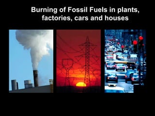 Burning of Fossil Fuels in plants, 
factories, cars and houses 
 