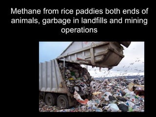 Methane from rice paddies both ends of 
animals, garbage in landfills and mining 
operations 
 