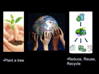 •Plant a tree •Reduce, Reuse, 
Recycle 
 