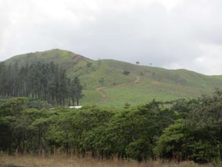 Environment Boquete Panama