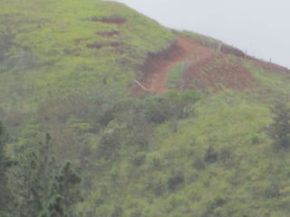 Environment Boquete Panama