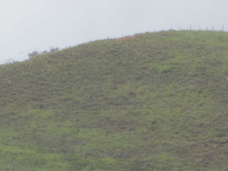 Environment Boquete Panama