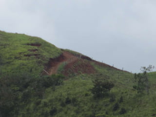 Environment Boquete Panama