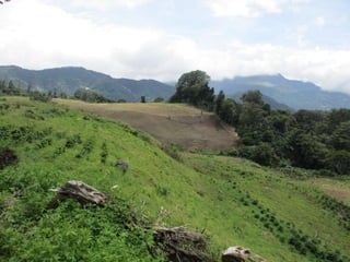 Environment Boquete Panama