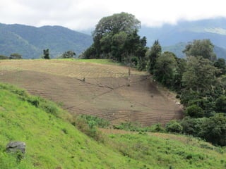 Environment Boquete Panama