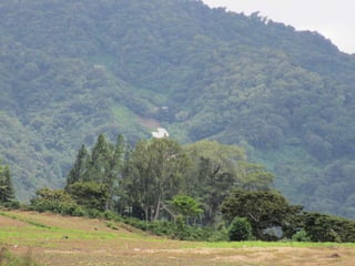 Environment Boquete Panama