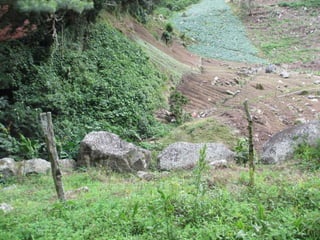 Environment Boquete Panama