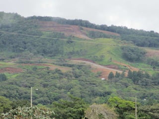 Environment Boquete Panama