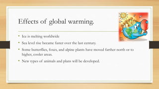 Effects of global warming. 
• Ice is melting worldwide 
• Sea level rise became faster over the last century. 
• Some butterflies, foxes, and alpine plants have moved farther north or to 
higher, cooler areas. 
• New types of animals and plans will be developed. 
 