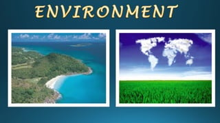 Environment is the sum total of what is around
something or someone. It includes living things and
natural forces. The env...