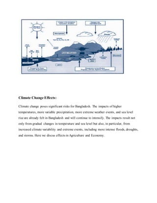 Climate Change Effects:
Climate change poses significant risks for Bangladesh. The impacts of higher
temperatures, more variable precipitation, more extreme weather events, and sea level
rise are already felt in Bangladesh and will continue to intensify. The impacts result not
only from gradual changes in temperature and sea level but also, in particular, from
increased climate variability and extreme events, including more intense floods, droughts,
and storms. Here we discus effects in Agriculture and Economy.
 